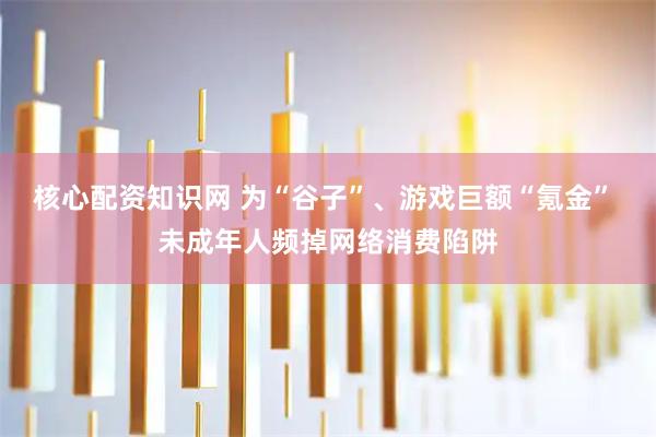 核心配资知识网 为“谷子”、游戏巨额“氪金” 未成年人频掉网络消费陷阱