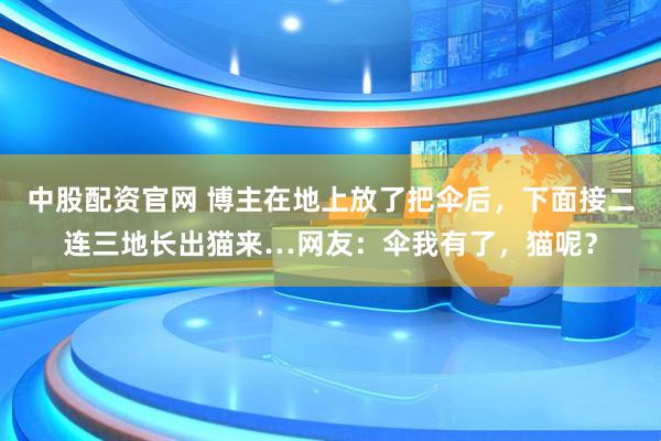 中股配资官网 博主在地上放了把伞后，下面接二连三地长出猫来…网友：伞我有了，猫呢？