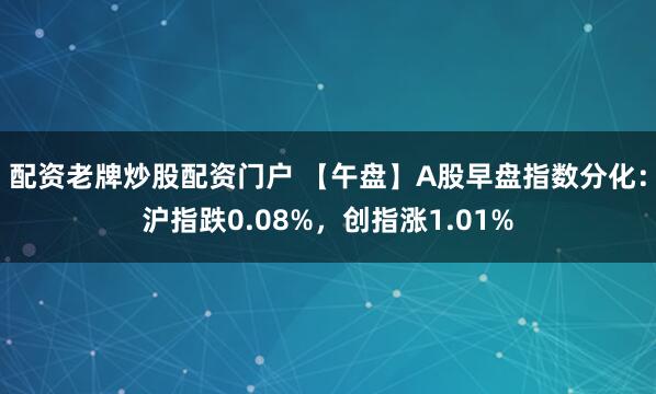配资老牌炒股配资门户 【午盘】A股早盘指数分化：沪指跌0.08%，创指涨1.01%
