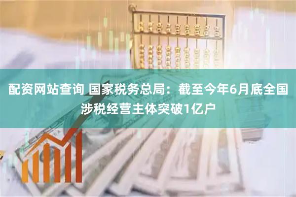 配资网站查询 国家税务总局：截至今年6月底全国涉税经营主体突破1亿户