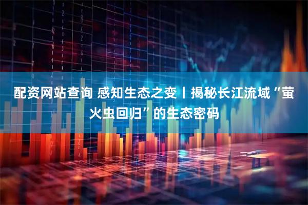 配资网站查询 感知生态之变丨揭秘长江流域“萤火虫回归”的生态密码